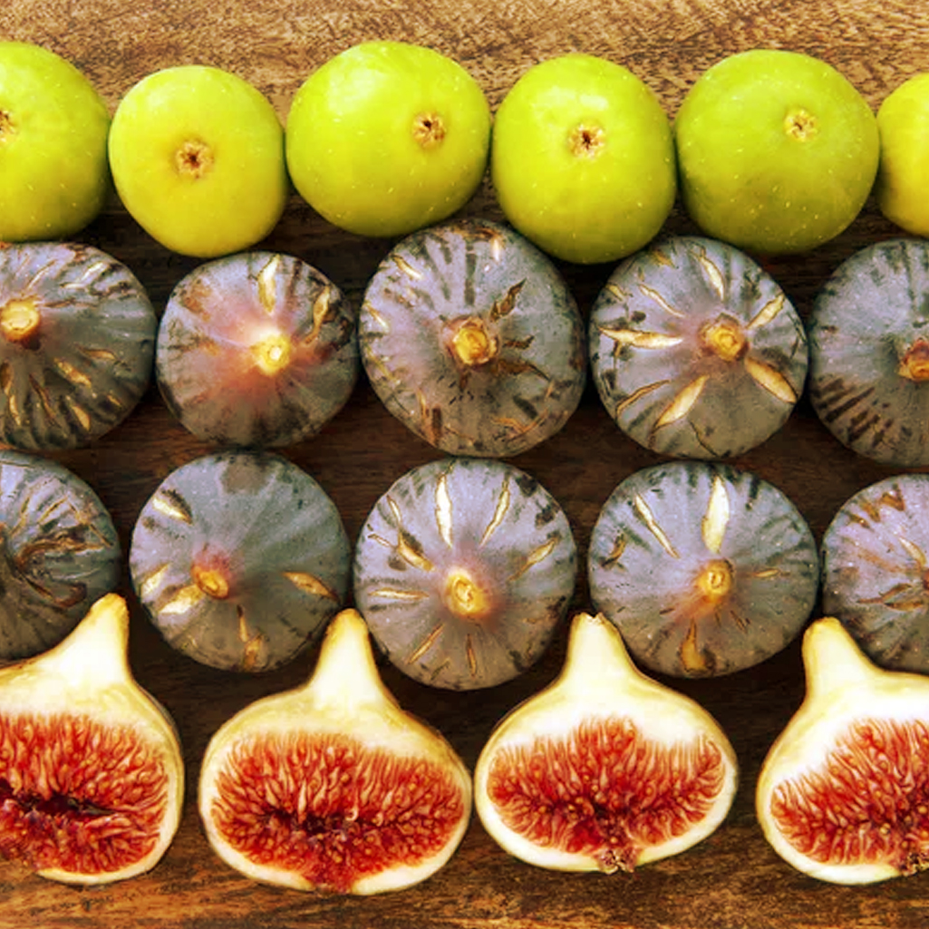 تجارت بین ایران و ژاپن